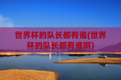 世界杯的队长都有谁(世界杯的队长都有谁啊)