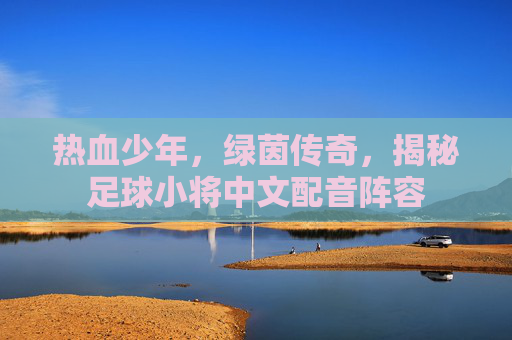 热血少年，绿茵传奇，揭秘足球小将中文配音阵容