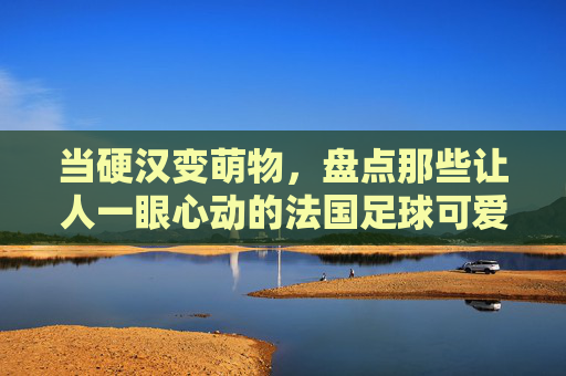 当硬汉变萌物，盘点那些让人一眼心动的法国足球可爱壁纸