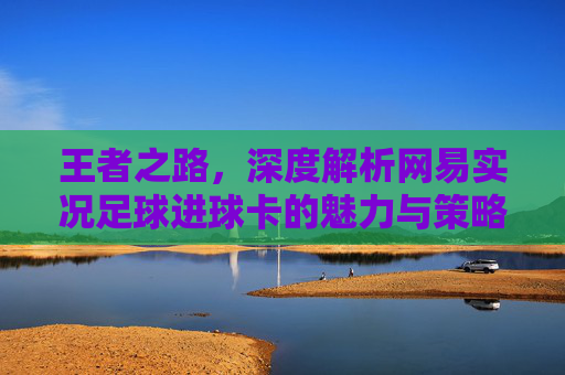 王者之路,深度解析网易实况足球进球卡的魅力与策略