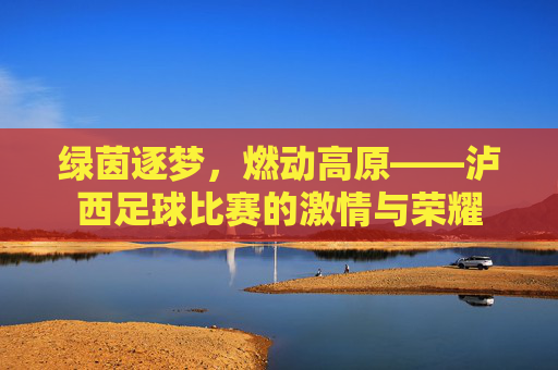绿茵逐梦,燃动高原——泸西足球比赛的激情与荣耀