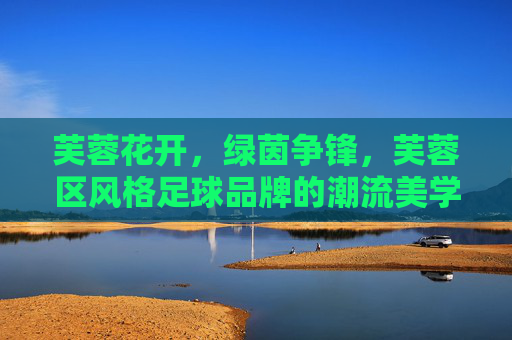 芙蓉花开,绿茵争锋,芙蓉区风格足球品牌的潮流美学与激情图腾