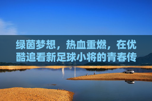 绿茵梦想,热血重燃,在优酷追看新足球小将的青春传奇