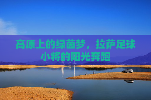 高原上的绿茵梦,拉萨足球小将的阳光奔跑