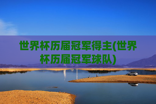 世界杯历届冠军得主(世界杯历届冠军球队)