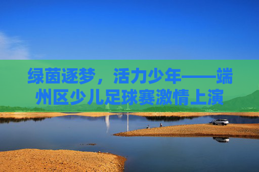 绿茵逐梦,活力少年——端州区少儿足球赛激情上演