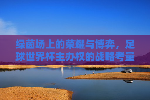 绿茵场上的荣耀与博弈,足球世界杯主办权的战略考量