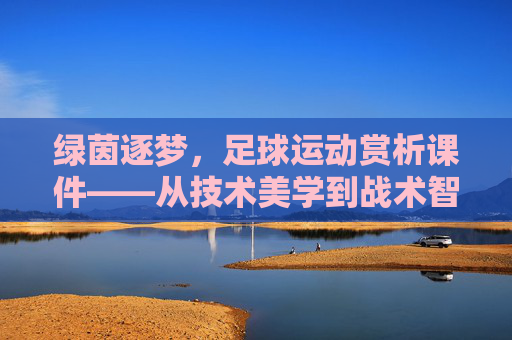 绿茵逐梦，足球运动赏析课件——从技术美学到战术智慧