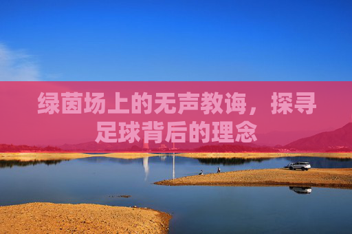 绿茵场上的无声教诲,探寻足球背后的理念