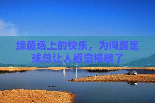 绿茵场上的快乐，为何踢足球总让人感觉棒极了