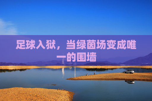 足球入狱，当绿茵场变成唯一的围墙