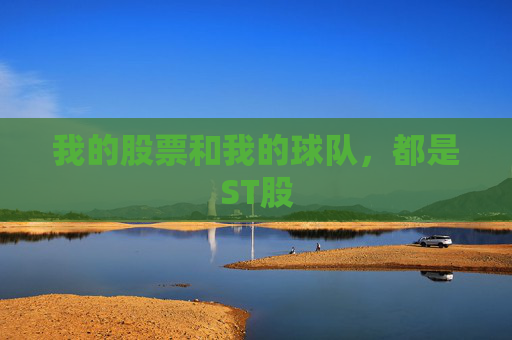 我的股票和我的球队，都是ST股