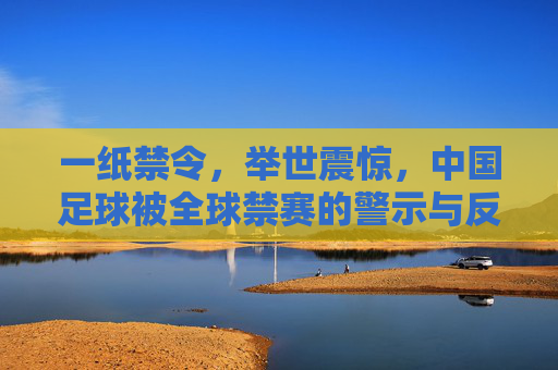 一纸禁令,举世震惊,中国足球被全球禁赛的警示与反思