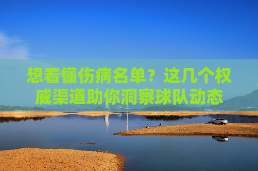 想看懂伤病名单?这几个权威渠道助你洞察球队动态