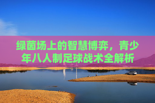 绿茵场上的智慧博弈,青少年八人制足球战术全解析