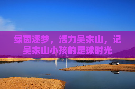 绿茵逐梦，活力吴家山，记吴家山小孩的足球时光