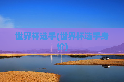世界杯选手(世界杯选手身价)