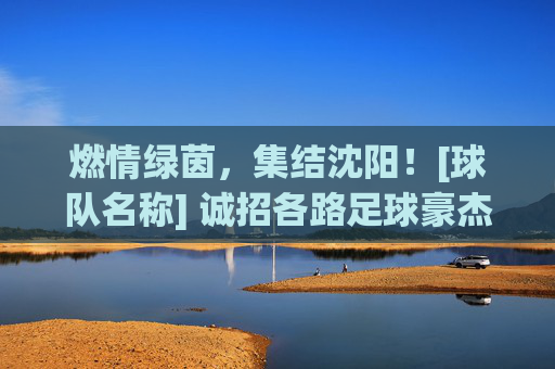 燃情绿茵，集结沈阳！[球队名称] 诚招各路足球豪杰