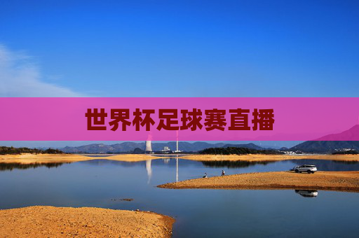 世界杯足球赛直播