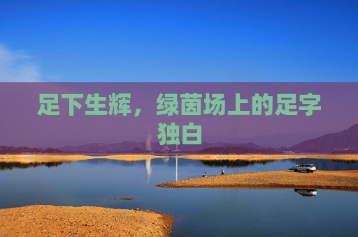 足下生辉，绿茵场上的足字独白