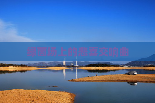 绿茵场上的悲喜交响曲