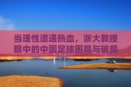 当理性遭遇热血,浙大教授眼中的中国足球困局与破局之道