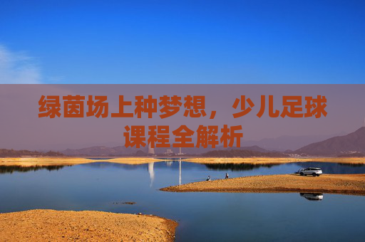 绿茵场上种梦想，少儿足球课程全解析