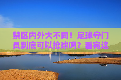 禁区内外大不同!足球守门员到底可以抢球吗?看完这篇你就懂了