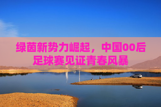 绿茵新势力崛起，中国00后足球赛见证青春风暴