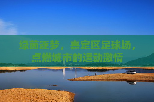 绿茵逐梦，嘉定区足球场，点燃城市的运动激情