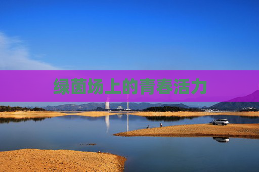 绿茵场上的青春活力