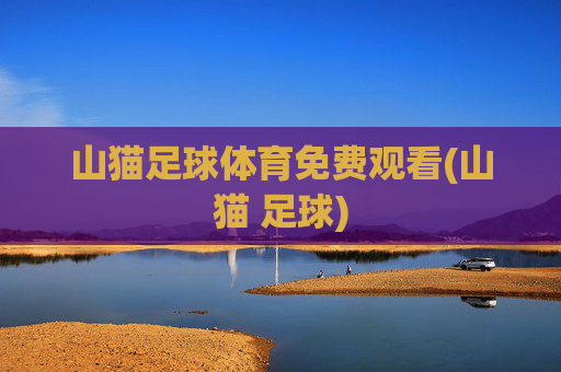山猫足球体育免费观看(山猫 足球)
