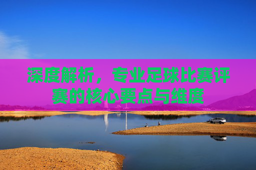 深度解析，专业足球比赛评赛的核心要点与维度