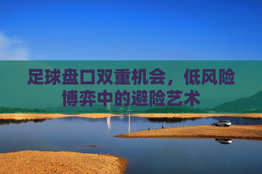足球盘口双重机会,低风险博弈中的避险艺术