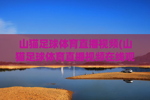 山猫足球体育直播视频(山猫足球体育直播视频在线观看)