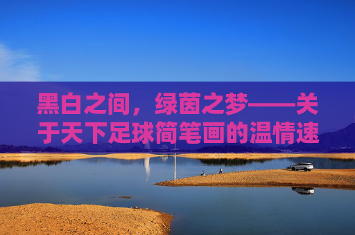 黑白之间,绿茵之梦——关于天下足球简笔画的温情速写