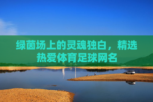 绿茵场上的灵魂独白，精选热爱体育足球网名