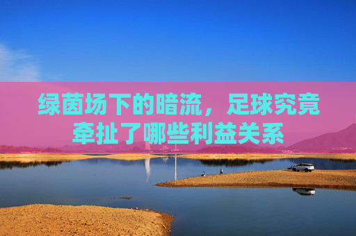 绿茵场下的暗流，足球究竟牵扯了哪些利益关系