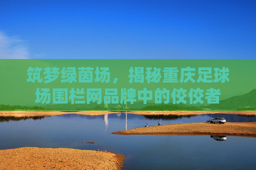 筑梦绿茵场,揭秘重庆足球场围栏网品牌中的佼佼者