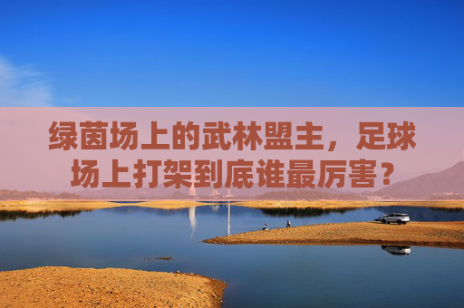 绿茵场上的武林盟主,足球场上打架到底谁最厉害?