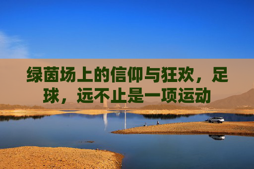 绿茵场上的信仰与狂欢,足球,远不止是一项运动