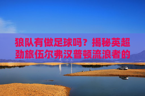 狼队有做足球吗?揭秘英超劲旅伍尔弗汉普顿流浪者的足球征程