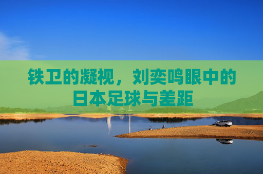 铁卫的凝视,刘奕鸣眼中的日本足球与差距