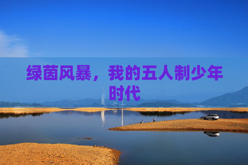 绿茵风暴,我的五人制少年时代