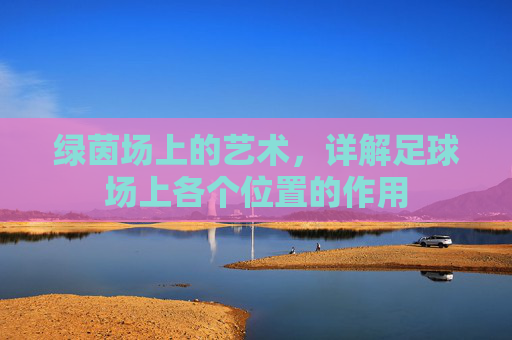 绿茵场上的艺术，详解足球场上各个位置的作用