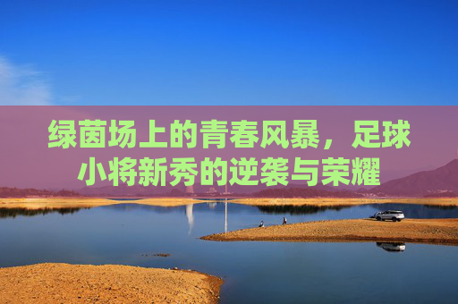 绿茵场上的青春风暴,足球小将新秀的逆袭与荣耀