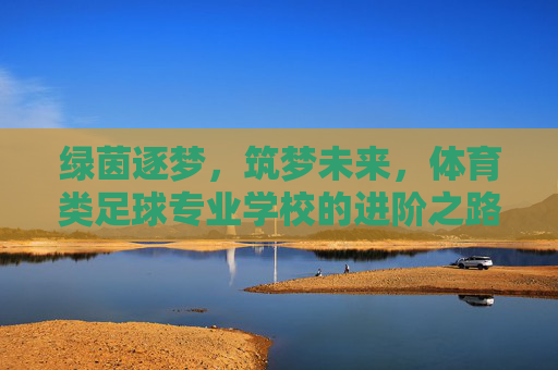 绿茵逐梦,筑梦未来,体育类足球专业学校的进阶之路