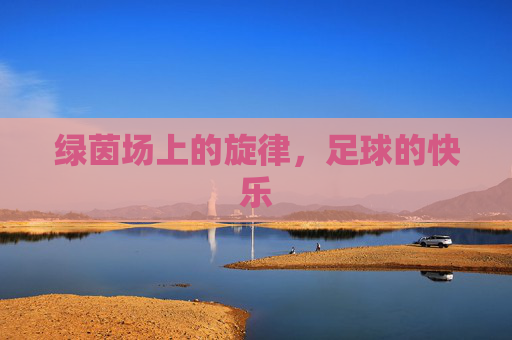 绿茵场上的旋律,足球的快乐