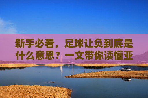 新手必看,足球让负到底是什么意思?一文带你读懂亚洲盘口