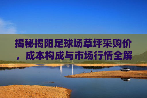 揭秘揭阳足球场草坪采购价，成本构成与市场行情全解析